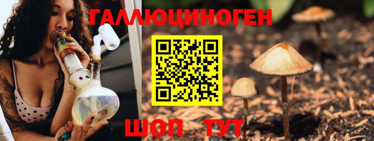 Грязи  Псилоцибиновые грибы Psilocybine cubensis  Псилоцибиновые грибы Cubensis  что такое наркотик  Вход с VPN 